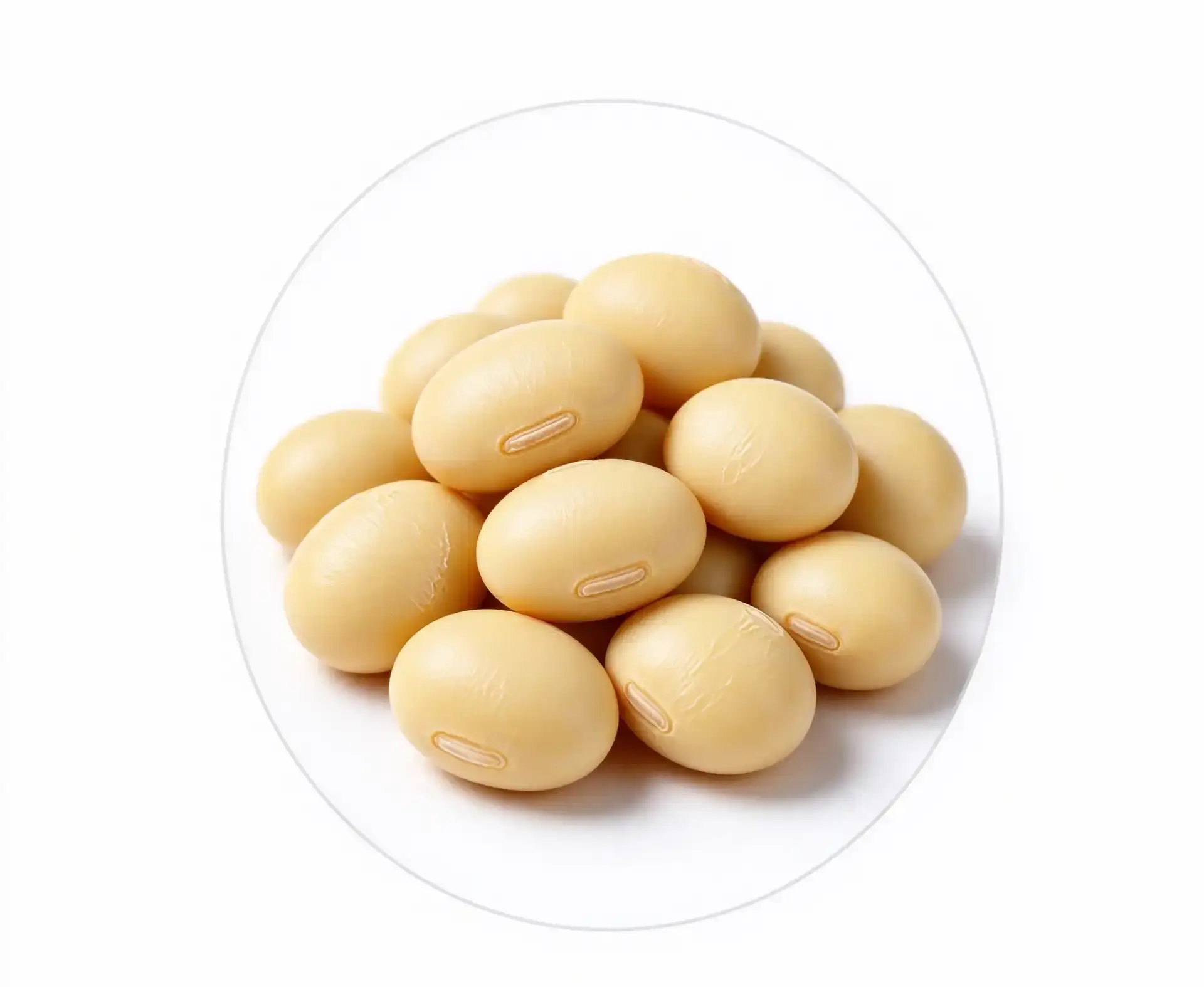 soybean